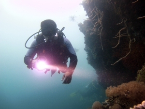 Jason Diving