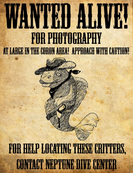 Wanted Poster Neptune Dive Center